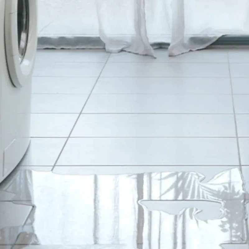 Appliance Leak Cleanup in Century, FL
