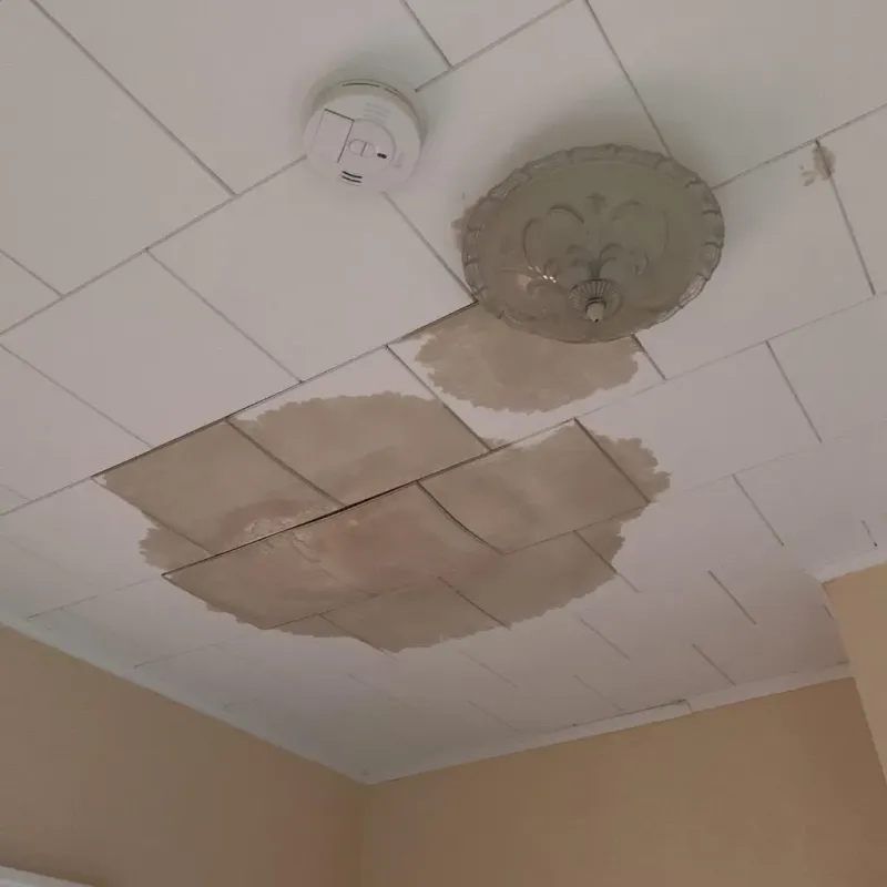 Ceiling Water Damage Repair in Century, FL