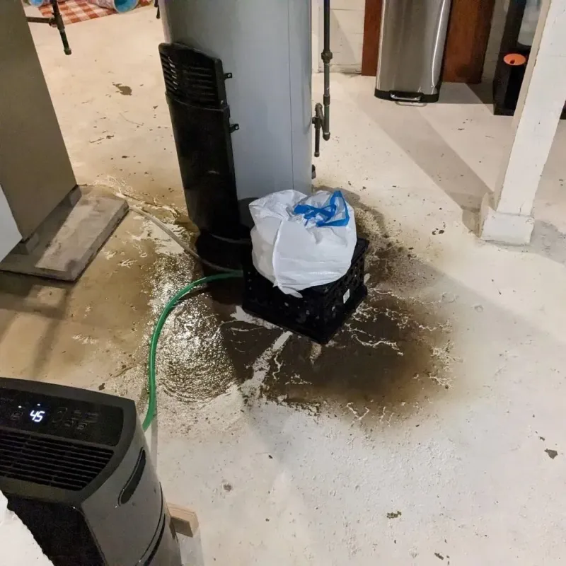 Sewage Backup Cleanup Service in Century, FL